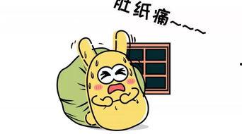 金华吃瓜群众是谁,网络红人的崛起与影响力