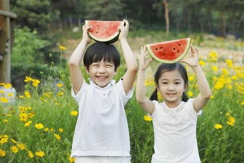 啃秋吃瓜图文,夏日炎炎里的清凉盛宴