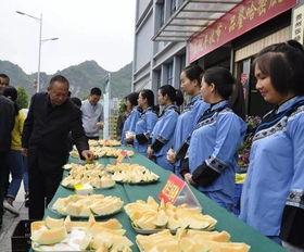 大舒城吃瓜群众