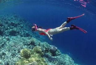 潜水吃瓜组合,揭秘水下娱乐新潮流