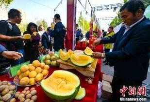 最近泗阳吃瓜新闻,揭秘背后真相与网络舆论风暴