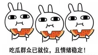 吃瓜人格言,揭秘网络时代的“瓜语”魅力