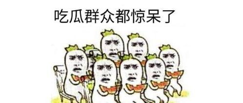 吃瓜群众瓜哥合集,揭秘娱乐圈那些不为人知的幕后故事