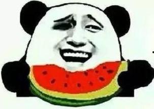 吃瓜群众看企鹅,吃瓜群众视角下的企鹅世界