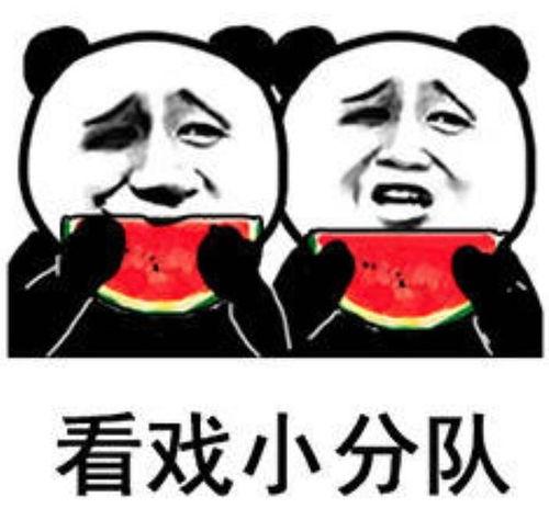 表情包吃瓜吃瓜