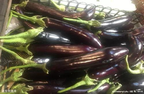 茄子视频在线吃瓜,带你在线品尝“吃瓜”盛宴