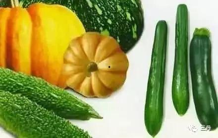 独特话语吃瓜系统,独特话语背后的网络现象