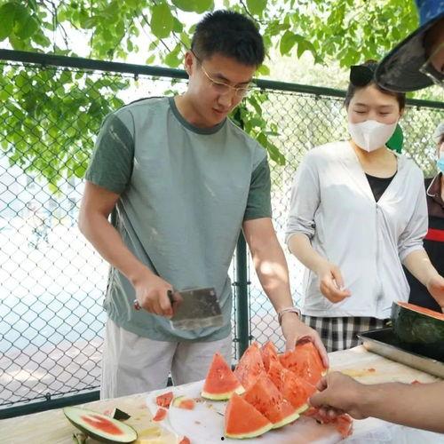 吃瓜职业技术,轻松掌握职场“吃瓜”技巧
